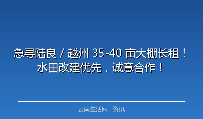 急寻陆良 / 越州 35-40 亩大棚长租！水田改建优先，诚意合作！