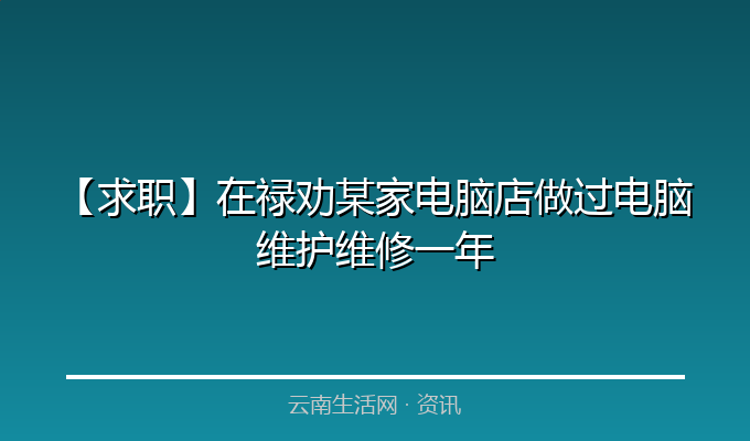 【求职】在禄劝某家电脑店做过电脑维护维修一年