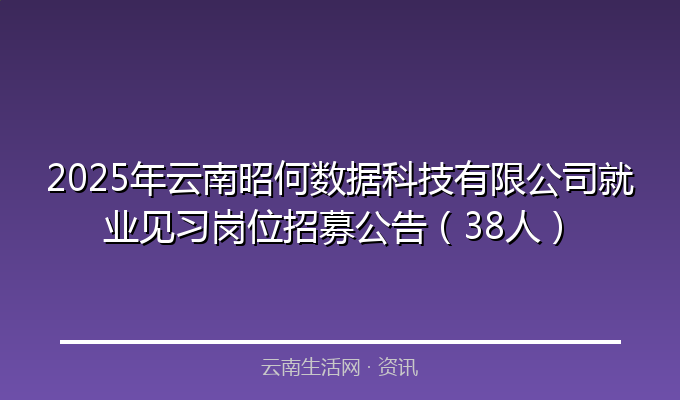 2025年云南昭何数据科技有限公司就业见习岗位招募公告（38人）