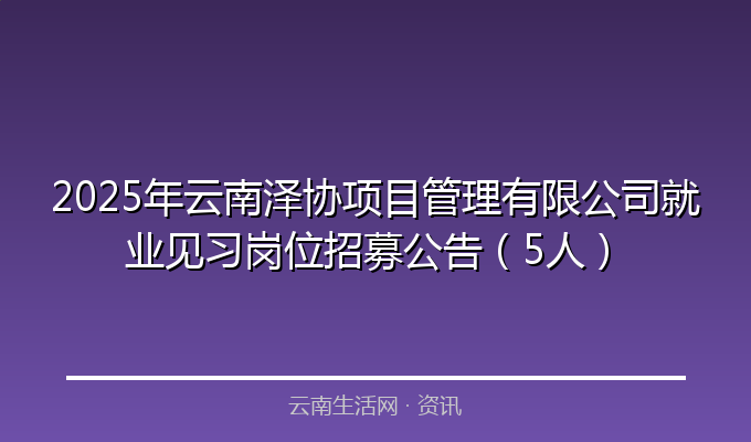 2025年云南泽协项目管理有限公司就业见习岗位招募公告（5人）